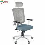 ETTOREZ Home & Office Ergonomic Chair