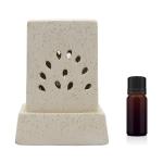 JSTBUY LABEL Electric Aroma Diffuser with Fragrance Oil Combo