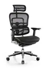 Ample Seating's Ergohuman Ergonomic Chair with any position Synchro Locking and 4-Dimensional Armrest
