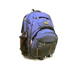 Pulse Trendy Laptop Bag- Blue