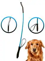 Pawwfect Imported Training Hunter Stick for Dogs - Color May Vary