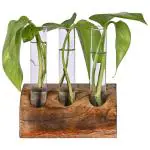 Appeasy Brown Wooden 3 Test Tubes Glass Planter Terrarium Flower Vase With Holder