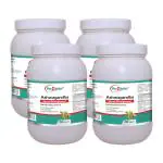 Way2Herbal Ashwagandha Value 700 Capsules (Pack of 4)