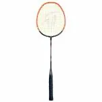 Babbler Badminton Racquet, Racquets, Badminton Racket, Badminton, RAY-4000 Racquet (Lime)