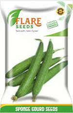 Flare Seeds Sponge Gourd Torai Seeds Combo 50 Per Packet