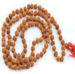 Shivoham Divyavedic Brown 5 Mukhi Rudraksha Mala 108 and 1 Beads Wood Pendant