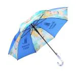 Citizen Cinderella Print Umbrella for Kids, Auto Open, 8 Aluminium Ribs, UV Coated 190T Fabric, Windproof, Lightweight, Durable Umbrella for Boys & Girls, 19 Inch, Blue