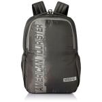 American Tourister Laptop Backpack For Men Women | SPIN Polyester Backpack | Backpack For Office College School, 29 Liters, Grey