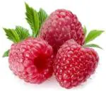 XOLDA Organic Raspberry fruit Seed (20 per packet)