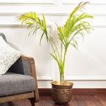 DecorTwist Large Antique Gold Planter For Indoor/Outdoor Plant