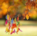 Ryme Multicolor 6 Inch Dream Catcher Wall Hanging For Home Office Wool Dream Catcher