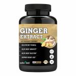 Adorreal Ginger Extract for Digestive Health, Immunity, Metabolic Profile, Immunity Support-120 Capsules