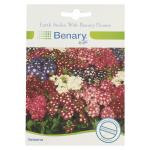 Benary Verbena Imagination Flower Seeds 20g