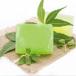 Shopiox Organic Aloe Vera Melt And Pour Soap Base - 500 G