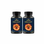 FIJ AYURVEDA Shilajit/Shilajeet Capsule | Shilajit | Shilajeet | - 500mg 60 Capsules (Pack of 2)