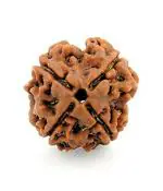Kridha Natural 4 Mukhi Rudraksha Bead ( Pack of 1, Brown )