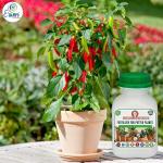 Erwon Fertilizer for Potted Plants, Premium Essential Powerful Liquid Fertilizer for the Best Growth of Indoor and Outdoor Plants with Growth Nutrients and Charged Micro-organism (100 ml)