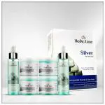 Vedicline Silver Facial Kit, Reduce Dead Cells, Impurities & Blackhead with Goodness of Silk Proteins,Aloe Vera for Glowing Skin, 600ml