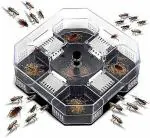 MOLTERA Cockroach Killer Trap Box Cockroach Bug Roach Catcher Cockroach Killer for Home, Office, Toilet, Bathroom, Pantry, Cupboard etc,1pcs - Multicolor.