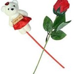 Webelkart Unique I Love You Love Meter, One Teddy Beer with Red Rose Perfect Valentine's Gift