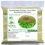 Valli Organics Sirukurinjan Powder | Cow Plant | Gurmar 100gm