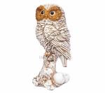 Idol Collections White Resin Collections owl For Table Top Owl Vastu Home Decor, 8.5 Inch