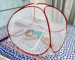 SKYNET 3.5X3.5 ft BABY SINGLE WHITE MAROON POLYESTER FOLDABLE MOSQUITO NET