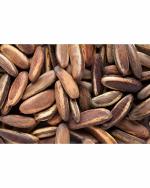 Green World Drought Tolerant Gulmohar 250 g Seeds