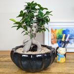 PLANTORI Ceramic Pot for Plants Big Size | Bonsai Pot | Ceramic Flower Pot | Planter for Living Room, Home Decoration, Balcony, Outdoor Garden (9 inch Dia Pot for Plants)(Blue)