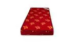 Sleep Factory International EPE Foam Mattress single Maroon