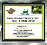 MGBN THE PATH FOR THE HEALTHIER LIFE WITH BEAUTY Parasapeepala, Thespesia Populnea, Poovarasan Tree Seed - 1 g (12 Seeds)