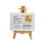Mont Marte Mini Display Easel with Canvas (Multicolor)