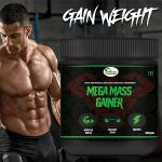 Inlazer Mass Gainer Weight Gain Powder, Protein Gym Supplement , Mass/Weight Gainers Weight Gainers/Mass Gainers (100 g, No Flavour)
