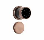 Ozone Bronze Smart Lock with Google Assistant and Alexa Enabled without Wi-Fi Gateway