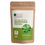 Bliss of Earth Pure Natural Gurmar Powder Gymnema Sylvestre Good for Diabetic & Gut Health 100gm
