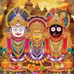 Tulip N Turtle Color 73 Jagannath Swamy Diy Acrylic Paint By Number Kit For Adults Kids Beginner