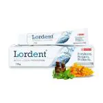 Lord's Homeopathic Laboratory Private Limited Lordent Active Herbal Protection Toothpaste 100g