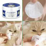 Core Clean Pet Eye and Ear Wipes for Dogs and Cats 50 Pads