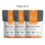 Just Jaivik Organic Jamun Seed Powder 100 g (Pack of 3)