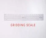 HIRDAY Gridding Scale