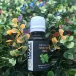 Happy Surroundings Tulsi Holy Basil Essential Oil (10ml)