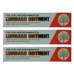 VISHWACHAITANYA AYURVEDIYA RASA-SHALA Lumbago Ointment 10gm Herbal Healing for spondylitis, Traumatic injury, Sprain, Strain, Joint Pain, Swelling (Pack of 3)