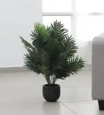 ARICKDECOR Artificial Areca Palm, Plants Areca Palm Trees without Pot (Pack of 2, 76 cm, Green, 21 Leaves) Plants for Home Indoor Outdoor Bedroom Décor