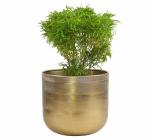 SABRI METAL Gold Embossed Decorative Metal Flower Pot Planter for Indoor Living Room Tabletop Plants Pot (9