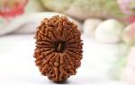 Feel Touch Mart 17 Mukhi Nepal Genuine Rudraksha Beads with Lab Certified for Men & Women