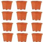 GreenLove New Gardening Small Hexa Gamla Flower Pot Plants Container For Terrace Balcony And Nursery Plant Container Set (Pack Of 12, Plastic)