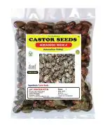 3V Products Castor Seeds, 100 G