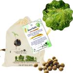 Human Birds International Seed Balls Pack of (100) - (Neem, Azadirachta Indica, Vembu, Neem, Neem, Bevu, Vepa), Just Throw and Grow, Return Gift, Earth Balls, Seed Bombs
