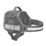 PetCeptual Service Dog Vest Harness Chest Body Belt for Dogs with Adjustable Neck and Chest Dog Standard Harness (Large)