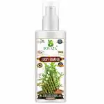 Sovata Lucky Bamboo Plant Spray, Essential Organic Liquid Spray Fertilizer for Overall Healthy Growth of All Lucky Bamboo Plants. (200 ml)